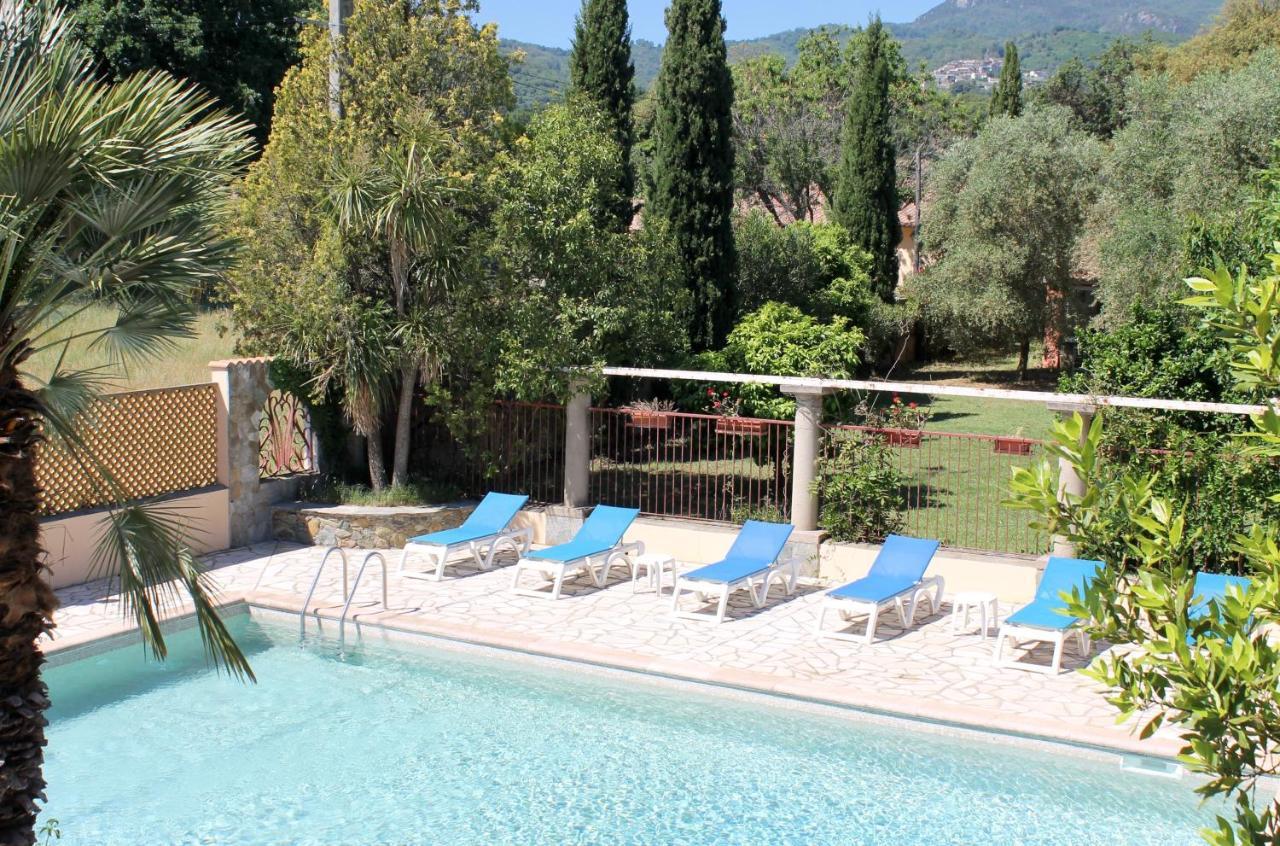 Domaine Le Clos Des Oliviers Sorbo-Ocagnano Luaran gambar