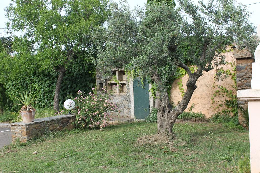Domaine Le Clos Des Oliviers Sorbo-Ocagnano Luaran gambar